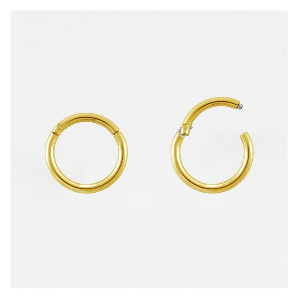 Titanium Gold Hinged Ring