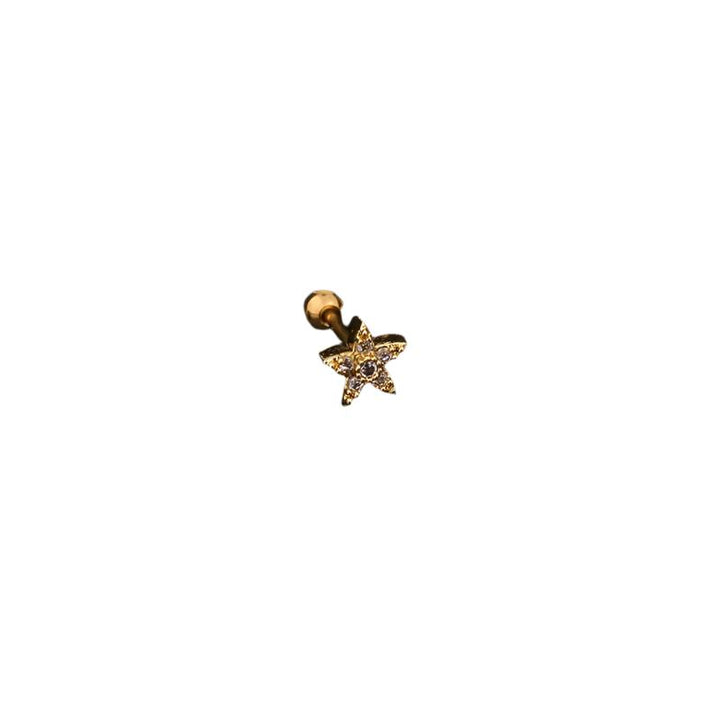 Stainless Steel Glittering Star Stud