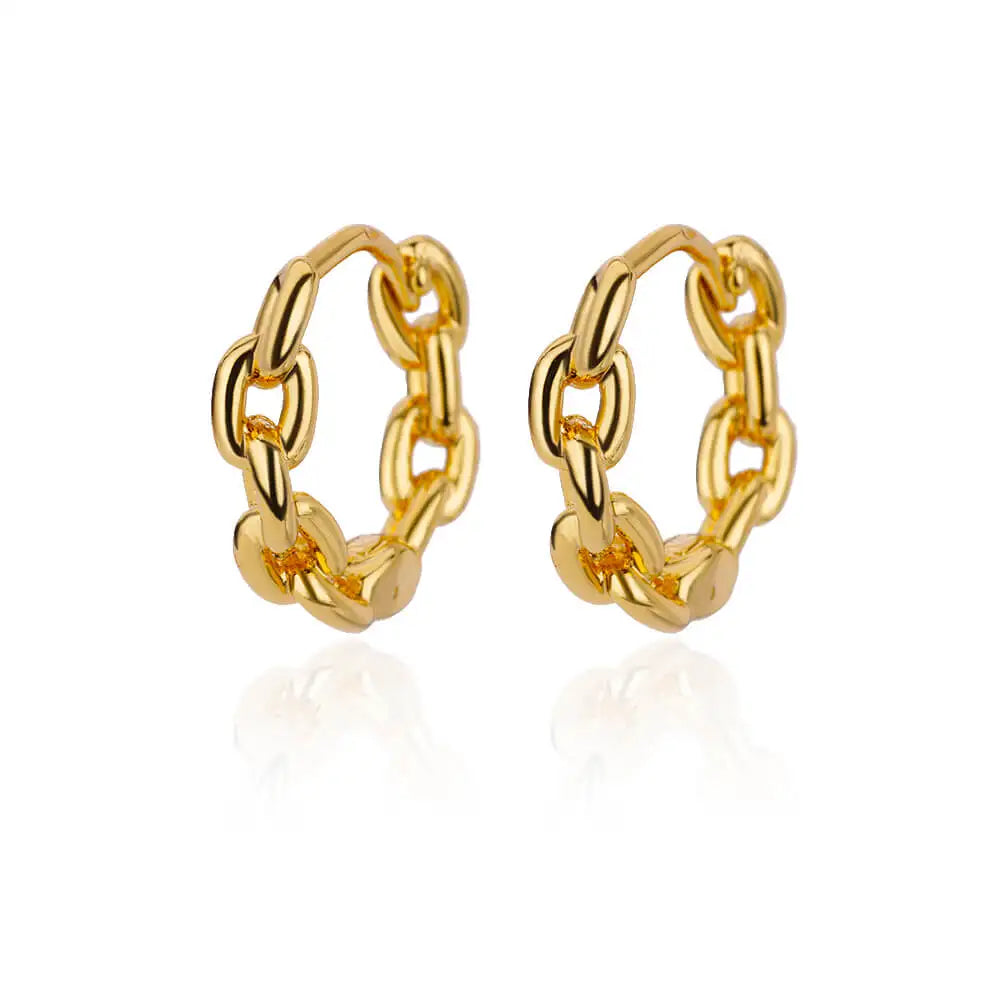 Chain Link Highly Polished Earrings