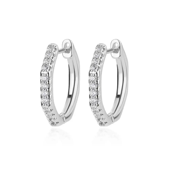 Zircon Polygon Earrings stainless Steel Hoops