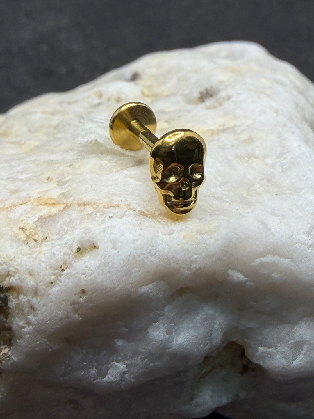 Titanium Gothic Skull Labret