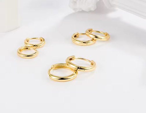Titanium Hinged|Hoop Clicker Earrings
