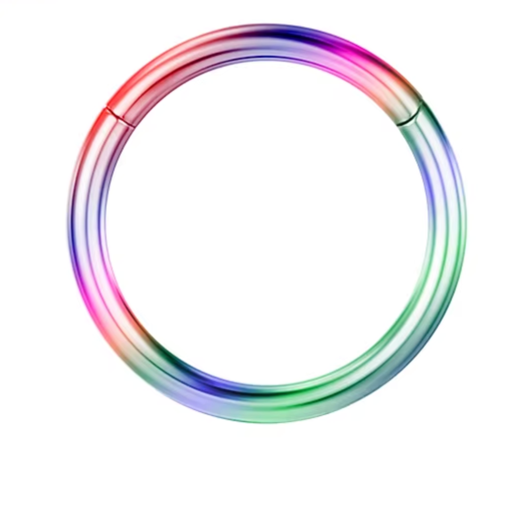 Titanium Hinged  Rainbow Clicker Hoop