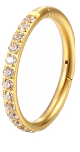 Titanium CZ Clicker Hoop
