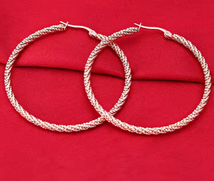 Stainless Steel Large Twisted Hoop Earrings.